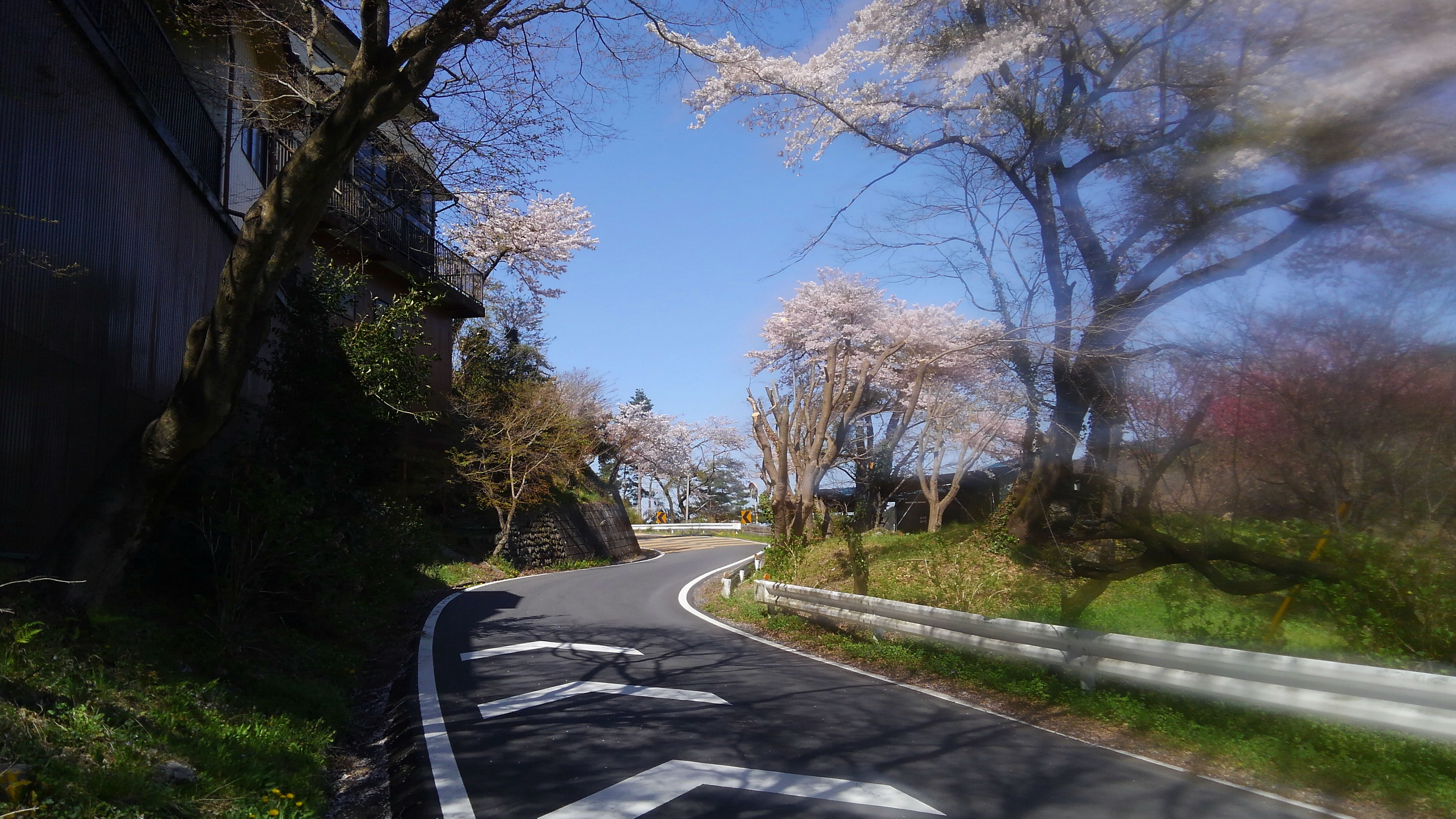 小川町～長瀞町お花見サイクリング