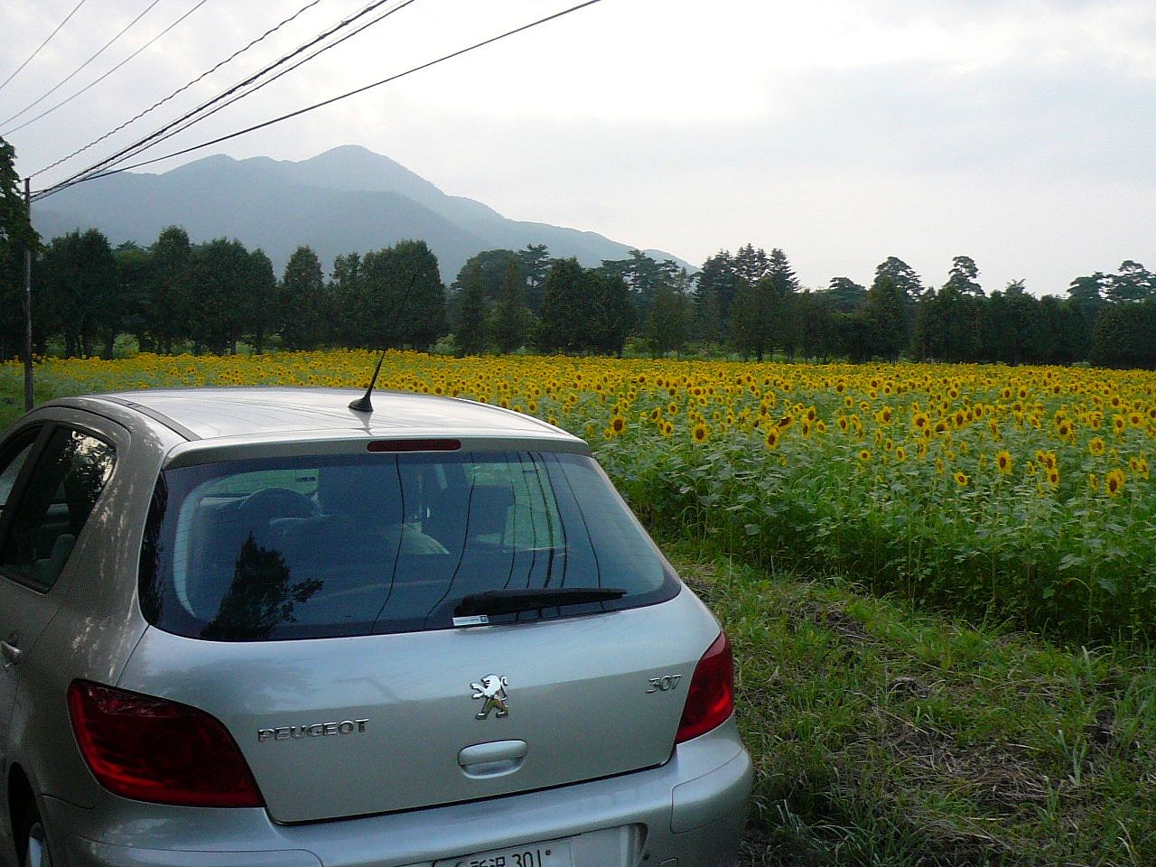 PEUGEOTで行ってきた夏休み