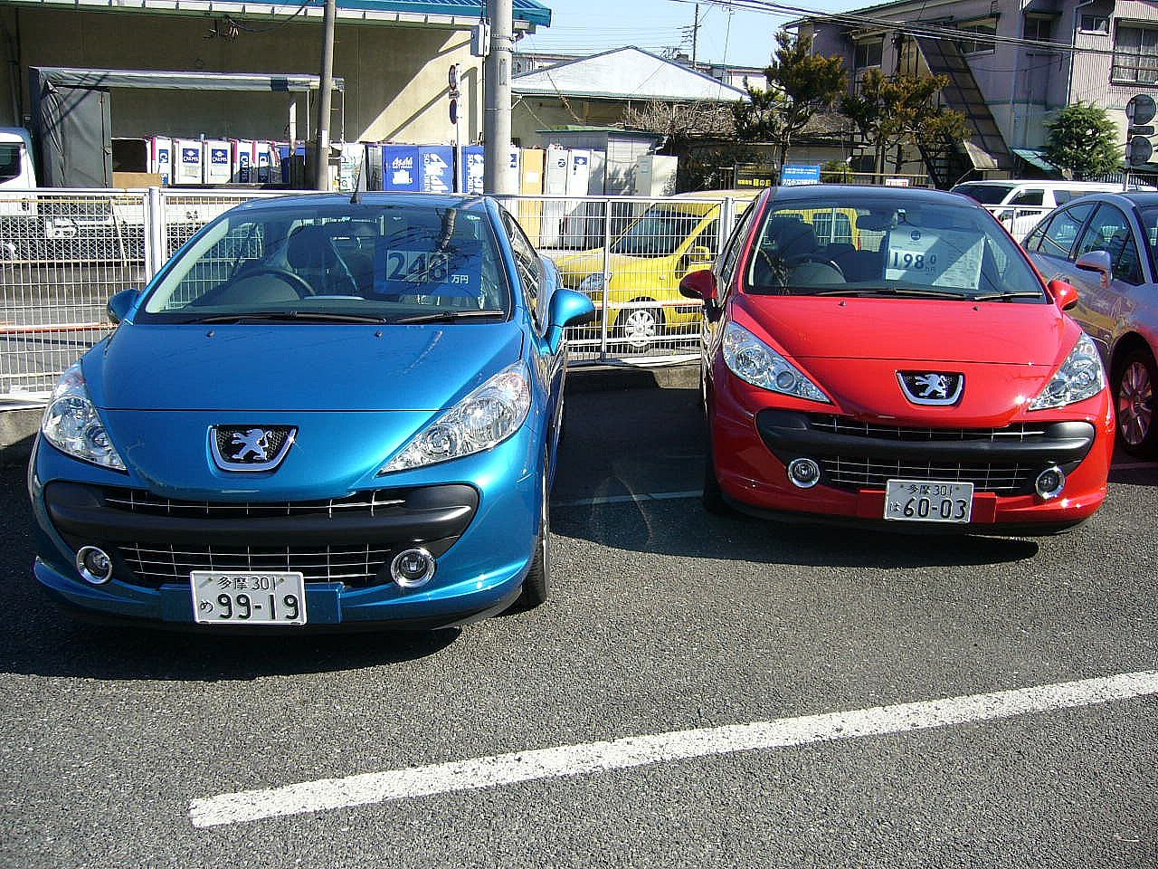 必見です！