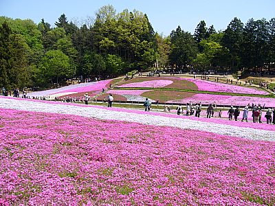 日帰りドライブプラン　その②