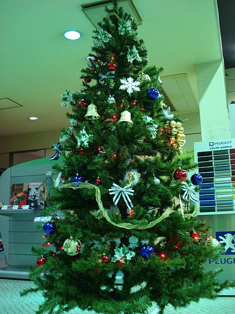 クリスマスシーズン到来!!