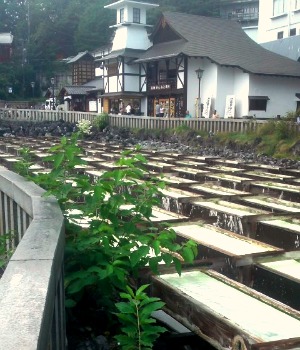 草津温泉にライオン現る！