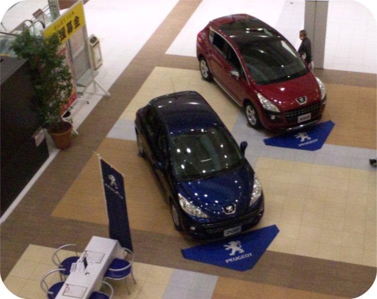 イオン北戸田SCにて出張展示会 開催中