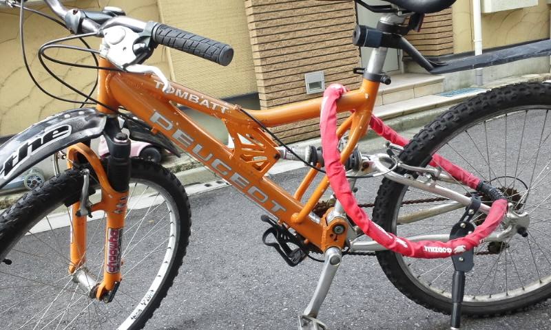 プジョー初購入のお話