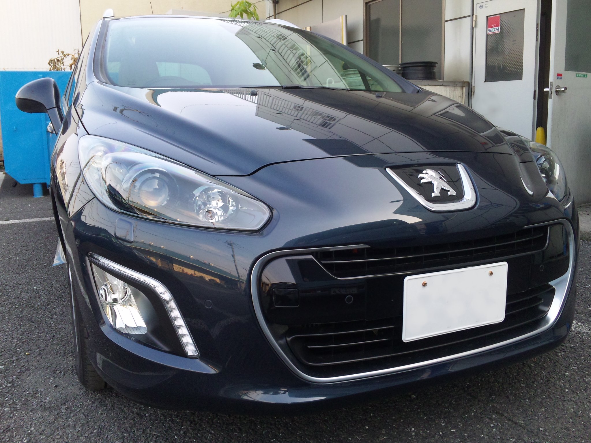 308の新種!?