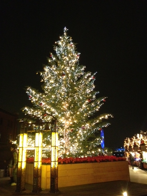Ａｆｔｅｒ　Ｃｈｒｉｓｍａｓ　