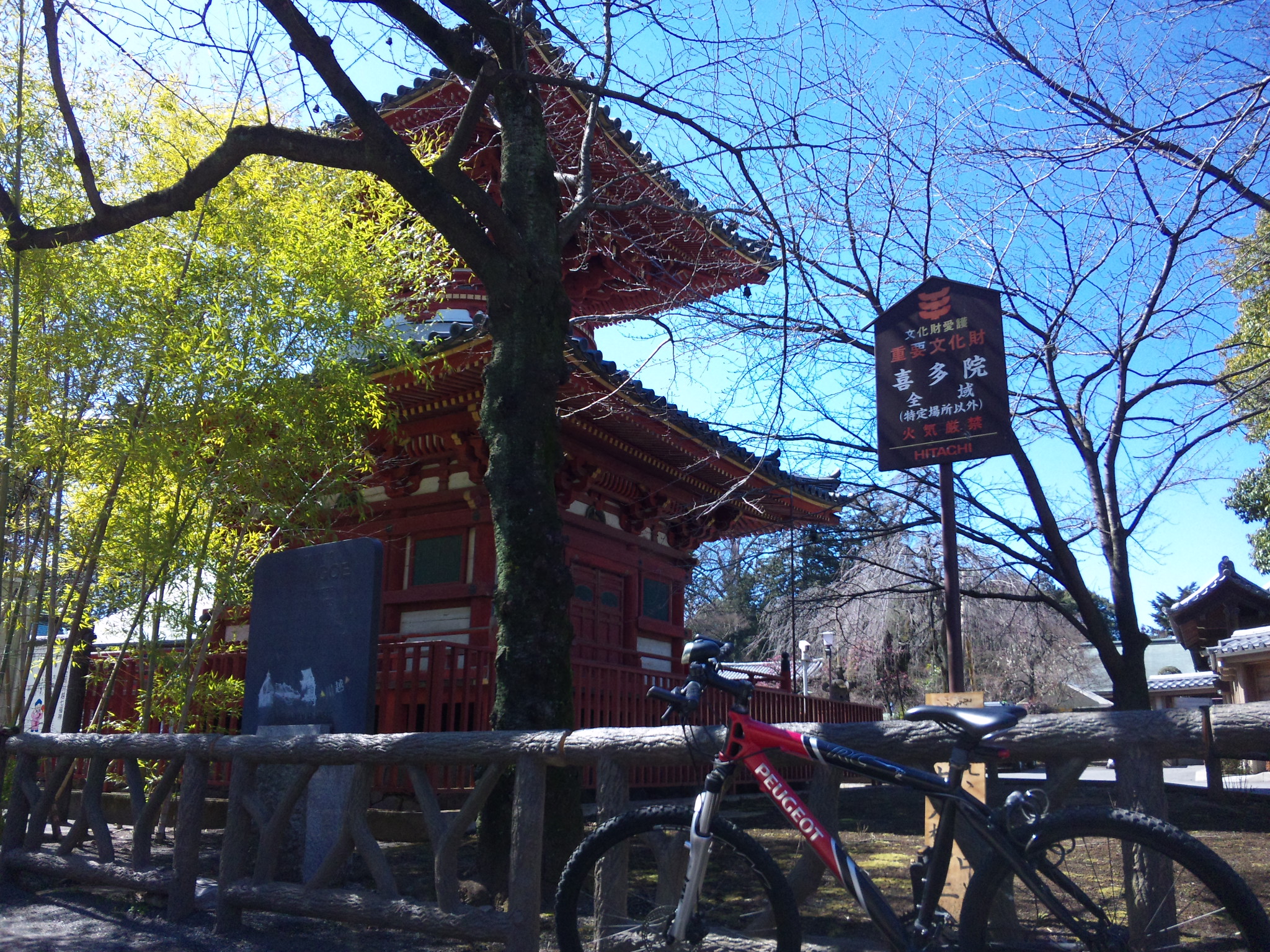 サイクリングin川越