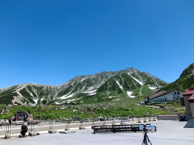 初登場