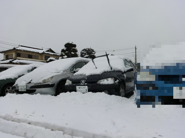 絶賛決算中です