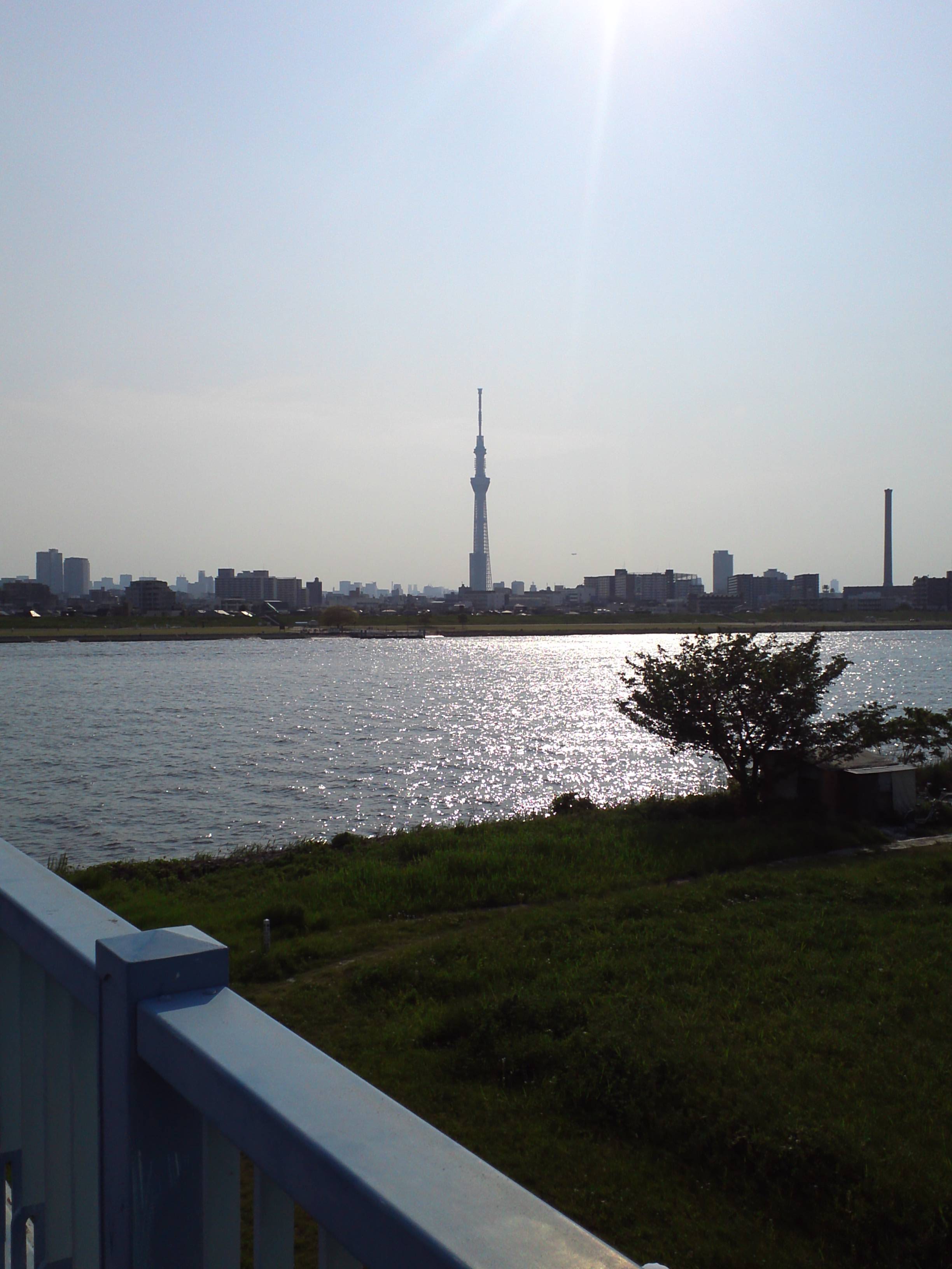 天気が良い日は