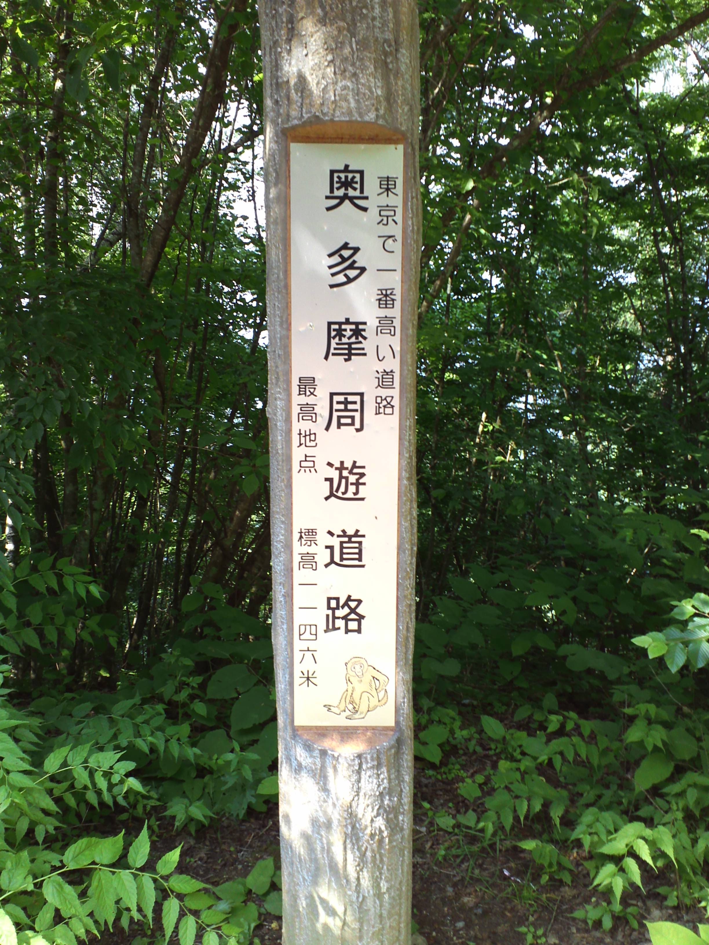 ヒルクライム（東京編）