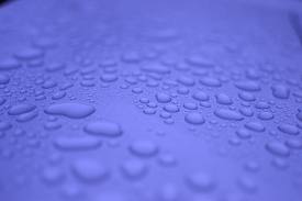 ボディーコーティング