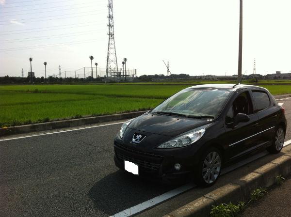 今がチャンス！