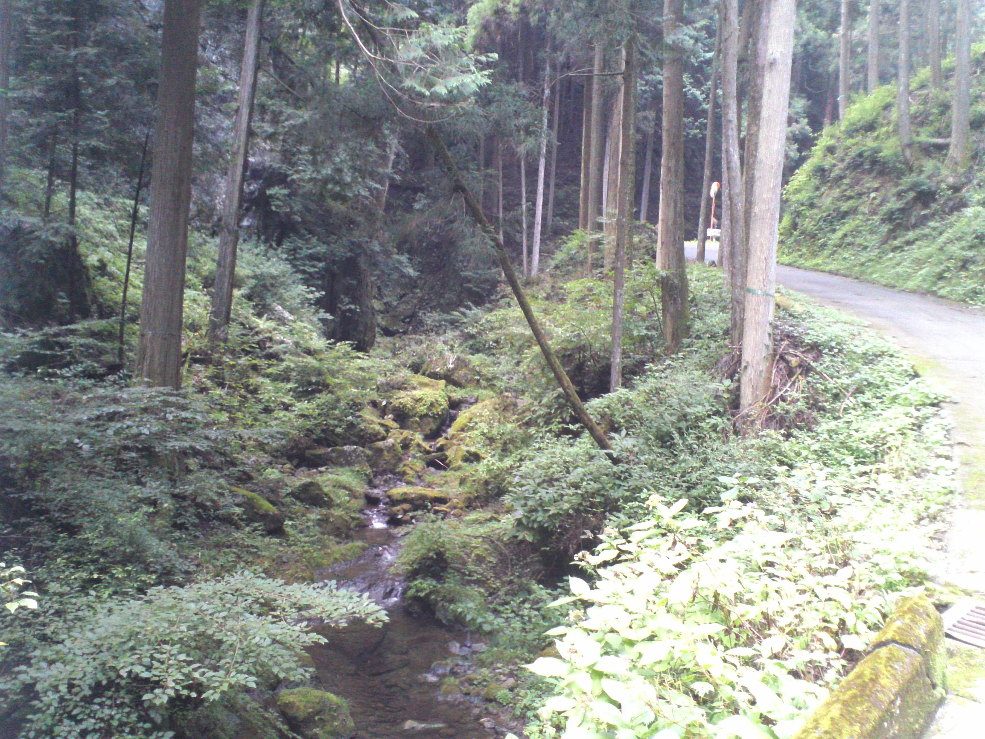 ヒルクライム東京編【成木峠】
