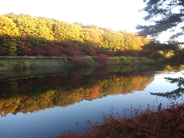 朝練