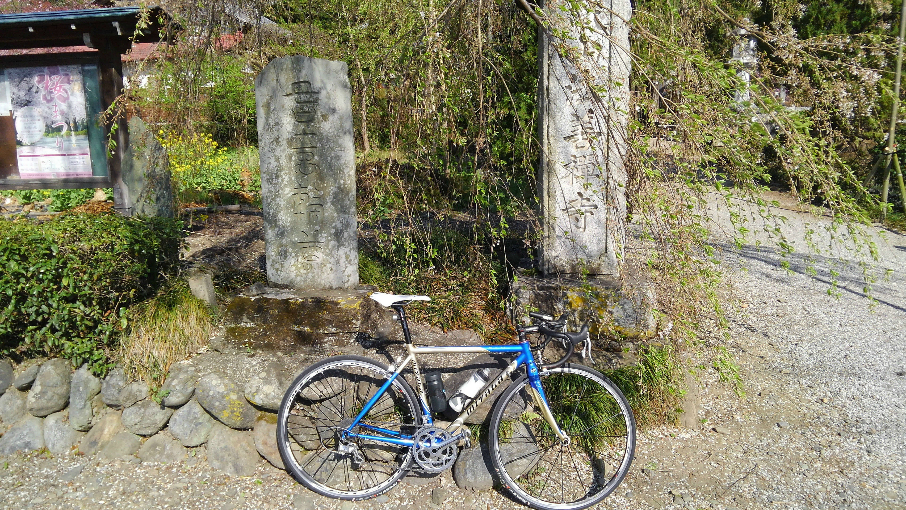 小川町～長瀞町お花見サイクリング