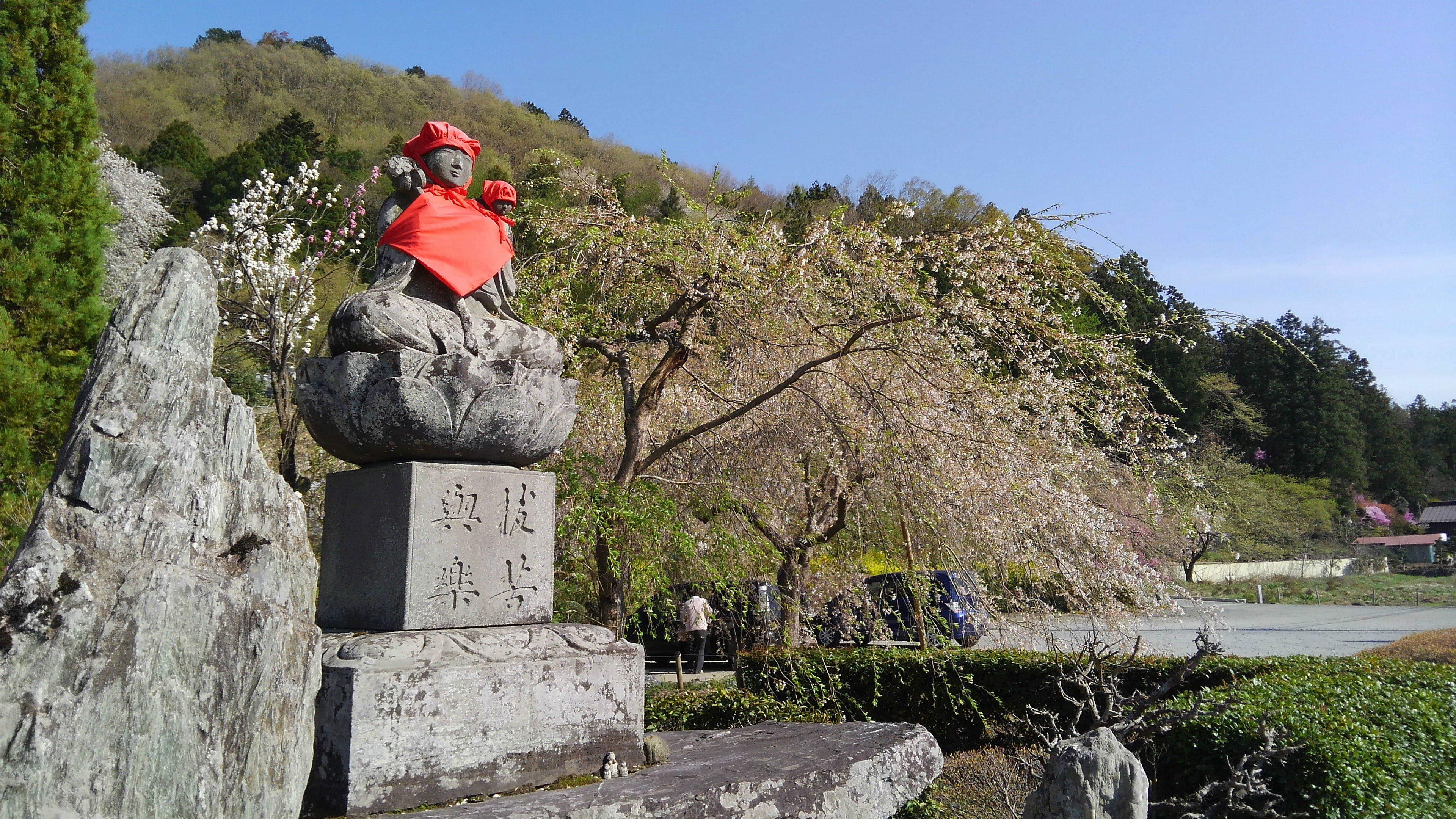 小川町～長瀞町お花見サイクリング