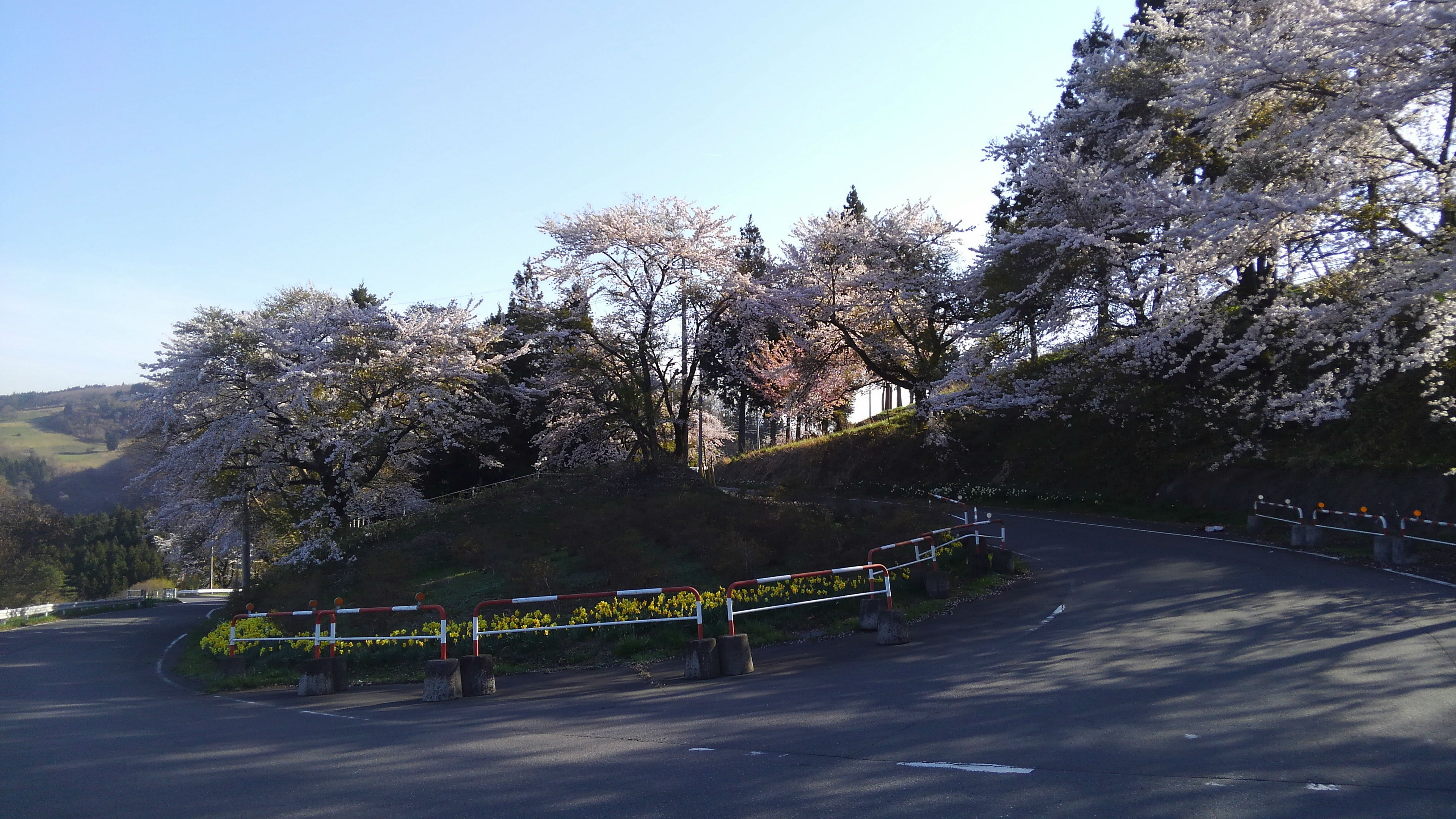 小川町～長瀞町お花見サイクリング