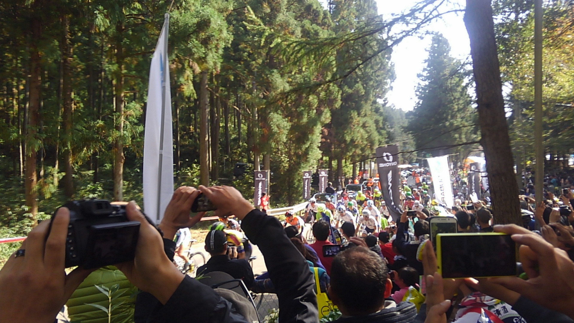 2016ジャパンカップロードレース in 宇都宮