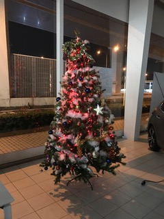 今年も・・・