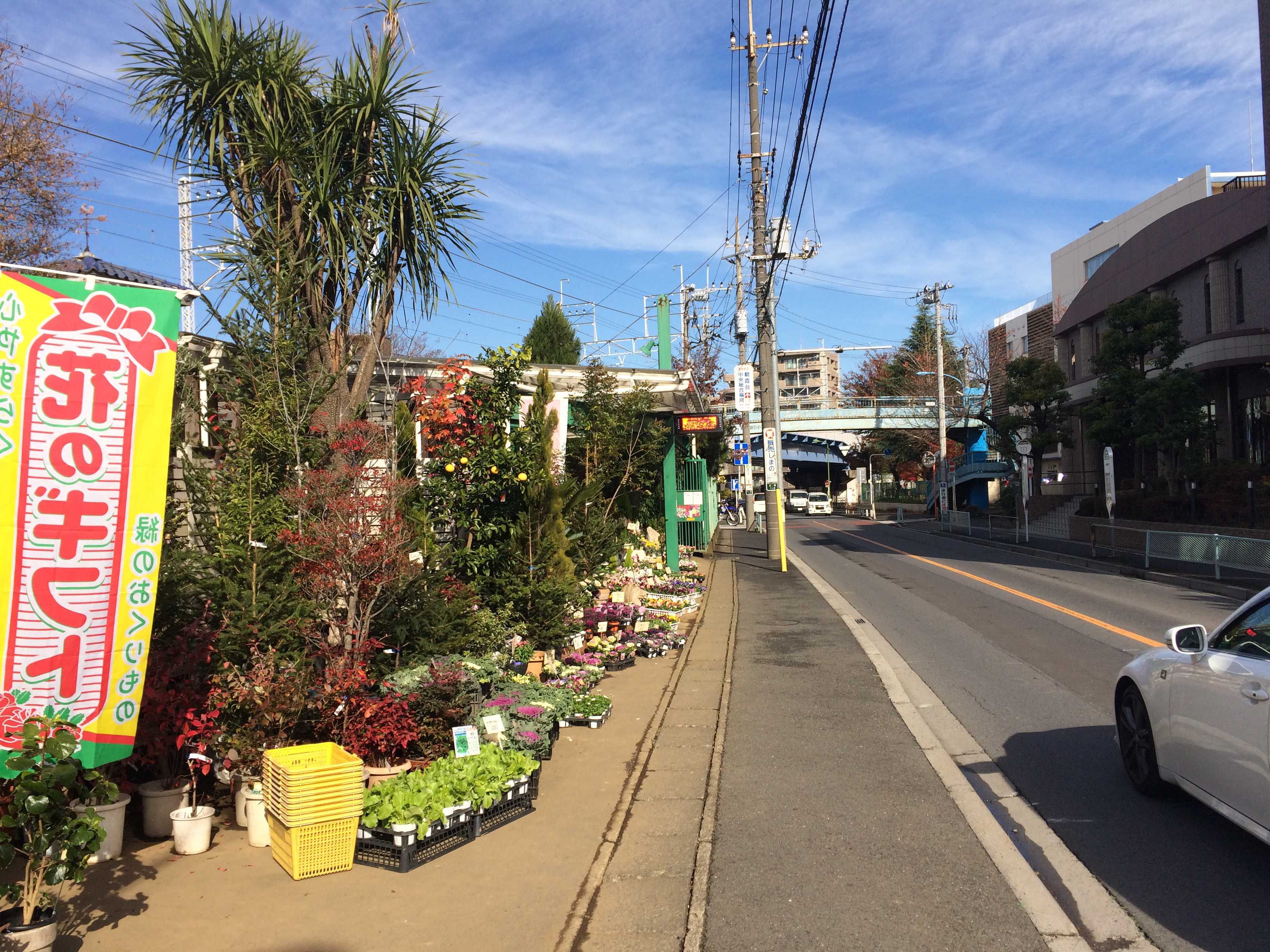 綺麗なお花がたくさん！