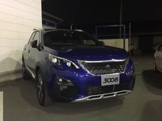 NEW３００８