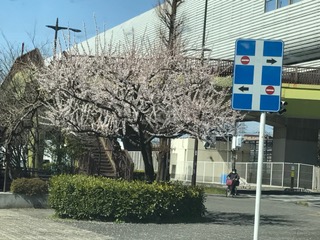 シーズン到来！