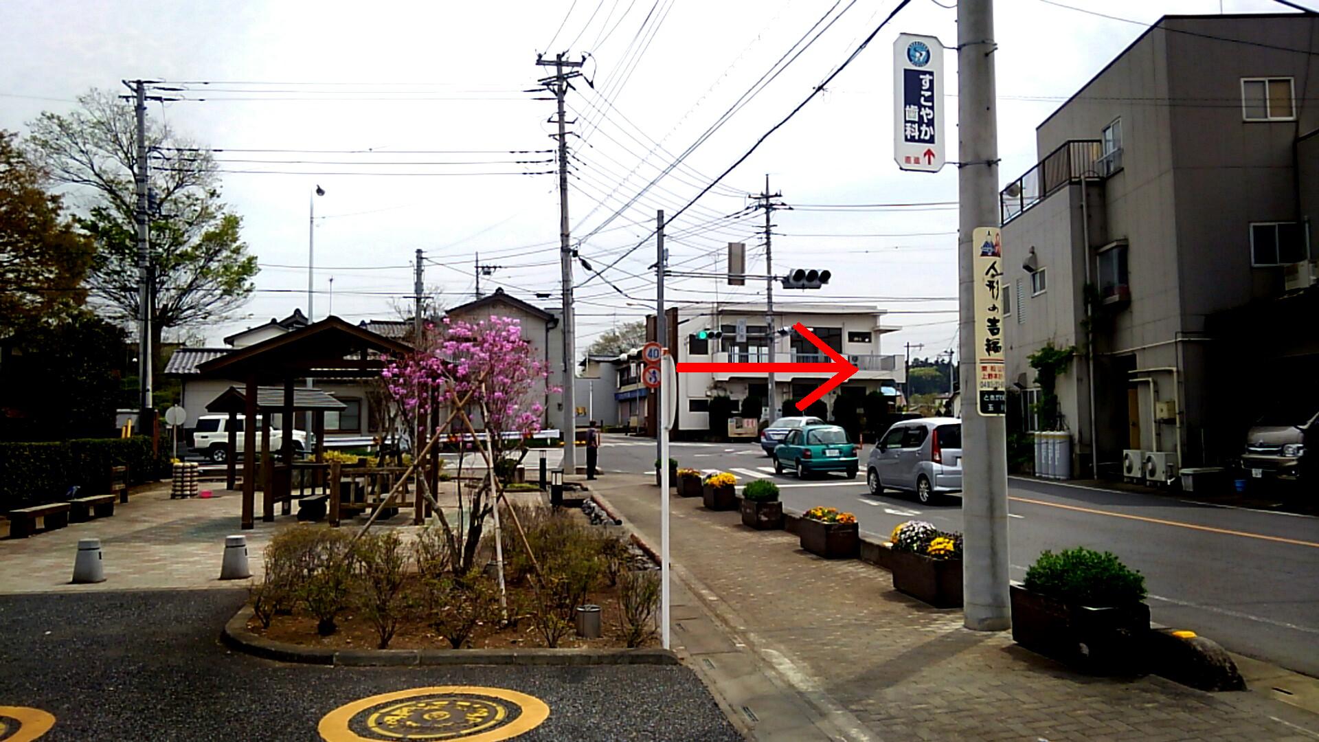 お花見サイクリング【ときがわ編】