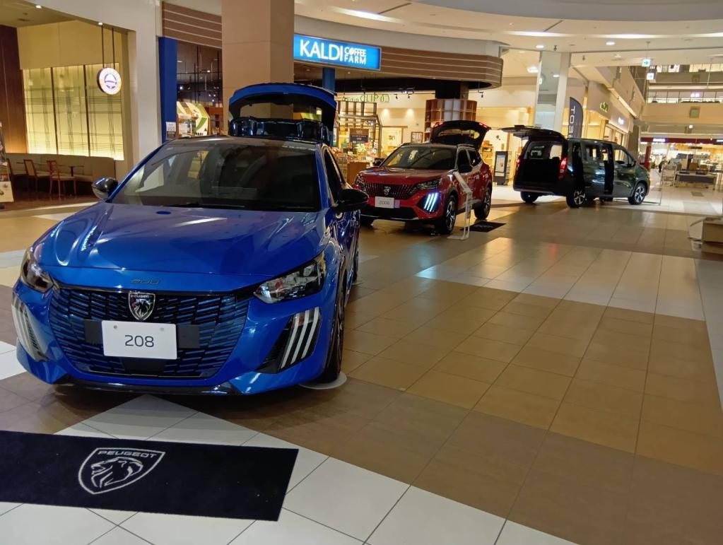 イオンモール北戸田展示会開催中でございます！！