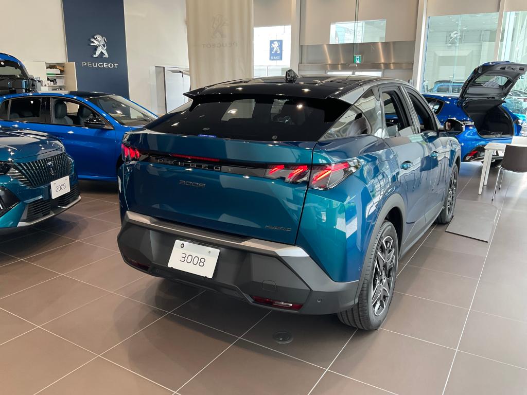 NEW3008ついにデビュー！