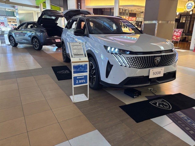 イオンモール北戸田 展示会開催中！